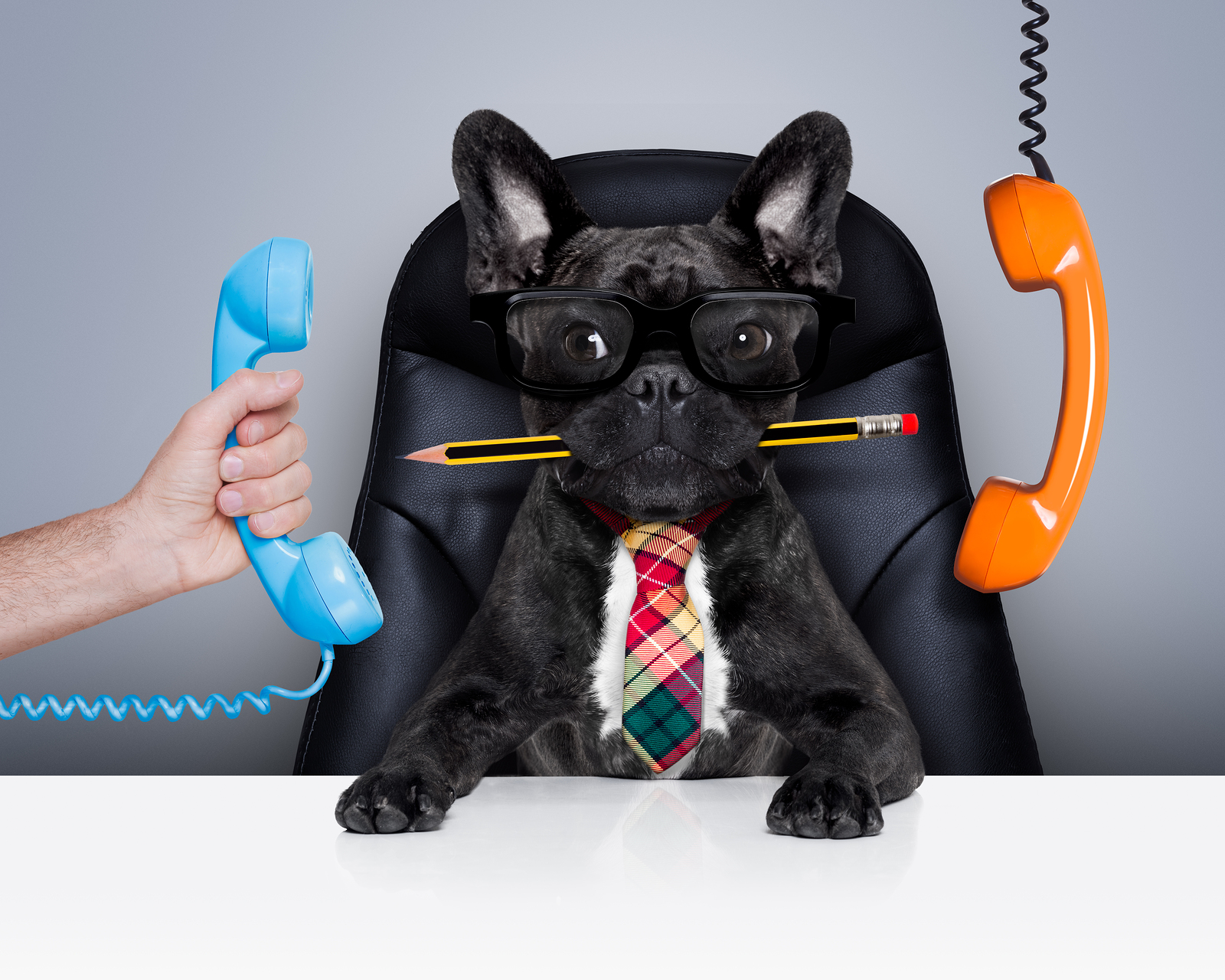 prevent call center burnout